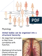 CH 11 - Physiology - Digestion - Circulation and Respiration - S