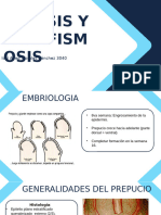 Fimosis y Parafimosis