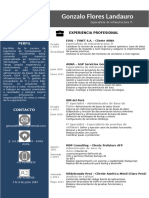 Gonzalo Flores Landauro: Perfil