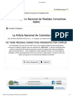 Consulta RNMC Sebas