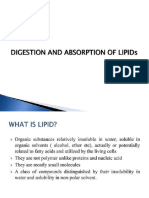 Digestion and Absorption of Lipids Notes