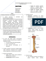 Sistema Locomotor