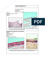 Atlas de Histologia