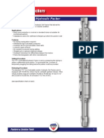 PST 21 FH Hydro Hydraulic Packer