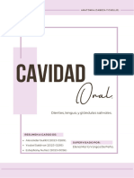 Cavidad Oral