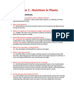 Chapter 1 Nutrition in Plant