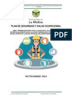 Plan de Seguridad y Salud en El Trabajo - La Molina