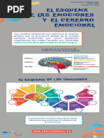 El Esquema de Las Emociones y El Cerebro Emocional