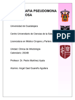 Monografía Pseudomonas Aeruginosa