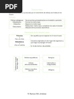 Resumen Examen Final