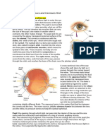 Case 3 The Eye