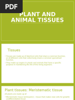 Plant and Animal Tissue