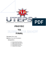 Sandy Proyecto Final