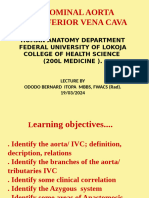 Basic Notes On Aorta and IVC FULCOHS Lokoja