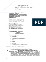 Copia de Estudio de Caso Esquema Informe Psicologico