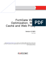 Fortigate Wanopt Cache Proxy