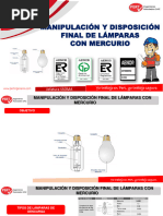 Manipulación y Disposición Final de Lámparas de Mercurio