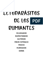 Ectoparasitos de Los Rumiantes