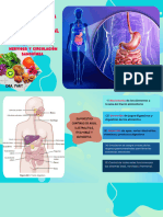 Cap 63 Fisiologia Digestiva - 20241001 - 163031 - 0000