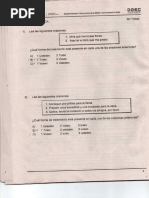 Español 9° 01 2024