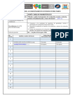 1 Anexo 01 - Planificación Del Acompañamiento Interno Entre Pares JC Mariategui