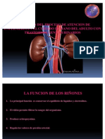 Listo Semi Renal