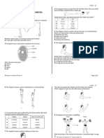 Bones Worksheet