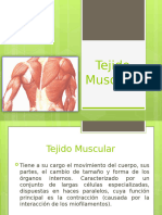 # 7tejido Muscular