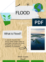 Flood