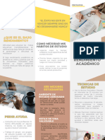 Folleto Brochure de Bajo Rendimiento Academico