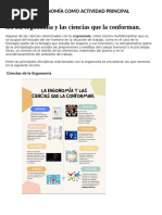 La Ergonomía Como Actividad Principal