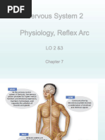 16 Nervous System 2 Physiology