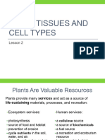 Lesson 2 - Plant Tissues and Cell Types