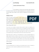 1.3 Classification, Structure and Function of Tissues