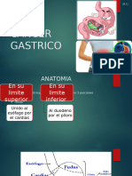 Cancergastrico