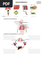 Ficha de Aprendizaje 1-2°