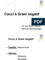 8 - Cocci À Gram