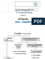 Lec 7 - Tetrapoda 1-Class Amphibia - Compatibility Mode