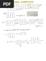 Álgebra Práctica Inversa Generalizada