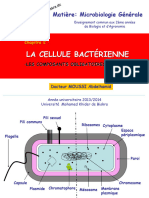 chp2 Bactérie 2