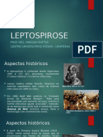 Leptospirose Aula