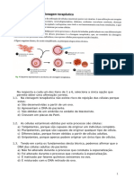 Protótipo Teste 2