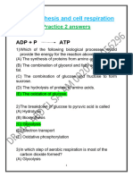 Photosynthesis and Cell Respiration Practice2 ANSWERS