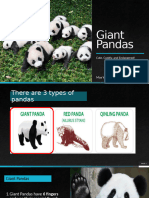 Moa Wildiers CE1.5 - Pandas