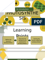 Photosynthesis Biology Presentation in A Green Yellow Bold Style