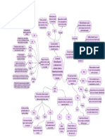 El Proceso de La Terapia Ocupacional