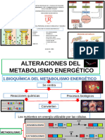 Alteraciones Del Metabolismo Energetico