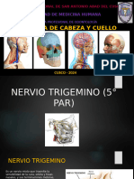 10 Nervio Trigémino