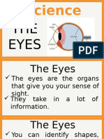 Science 3-Lesson (The Eyes)