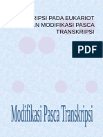 Modifikasi Pasca Transkripsi